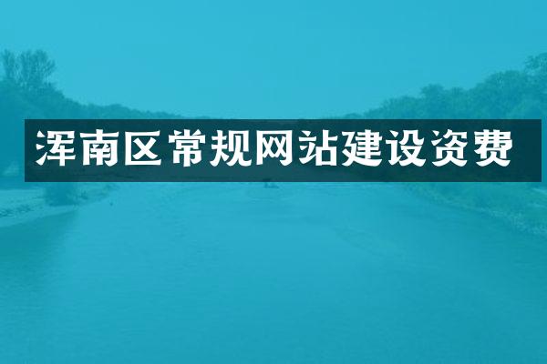 浑南区常规网站建设资费
