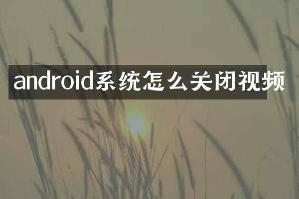 android系统怎么关闭视频