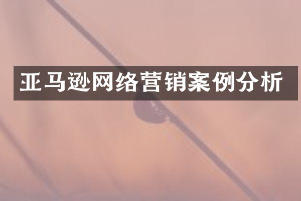 亚马逊网络营销案例分析