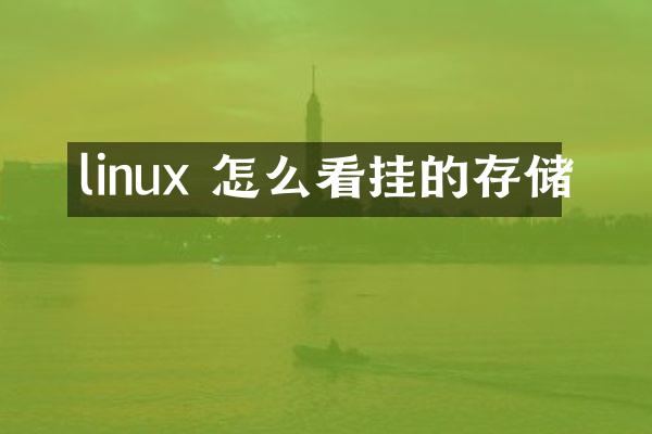 linux 怎么看挂的存储