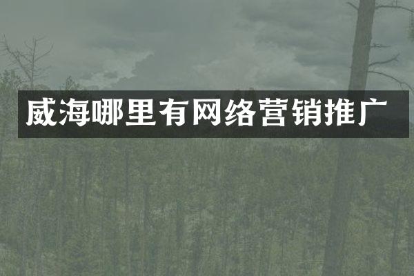 威海哪里有网络营销推广
