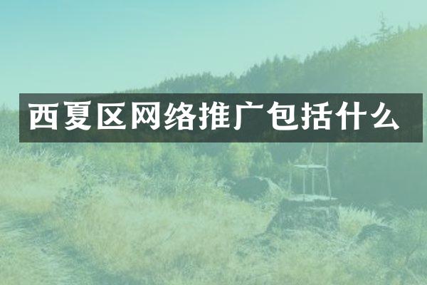 西夏区网络推广包括什么