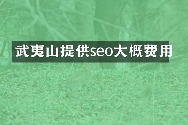 武夷山提供seo大概费用