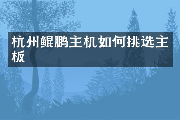 杭州鲲鹏主机如何挑选主板
