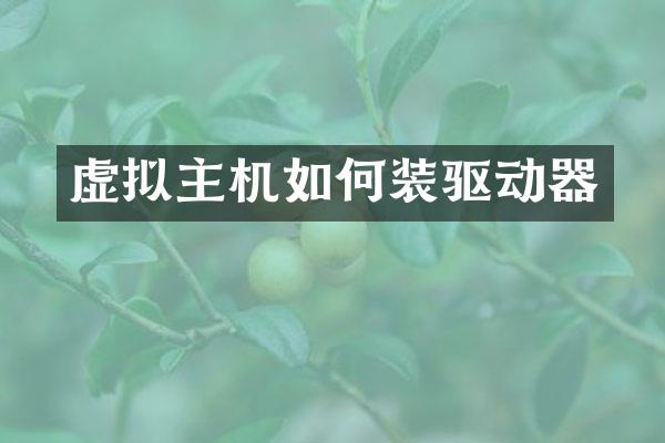 虚拟主机如何装驱动器
