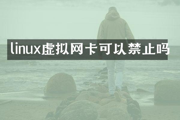 linux虚拟网卡可以禁止吗