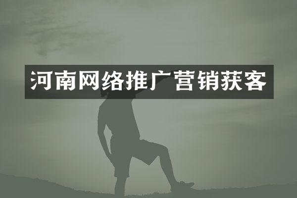 河南网络推广营销获客