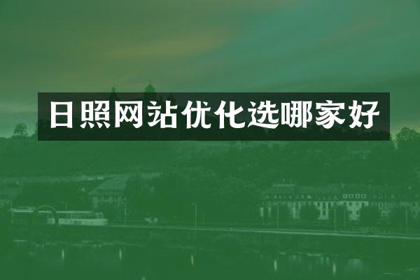 日照网站优化选哪家好
