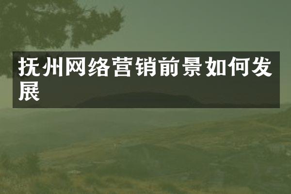 抚州网络营销前景如何发展