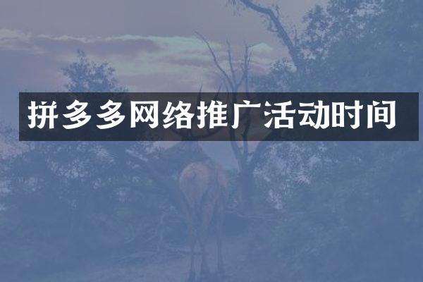 拼多多网络推广活动时间