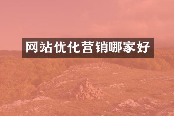 网站优化营销哪家好