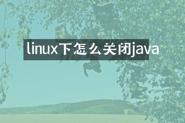linux下怎么关闭java