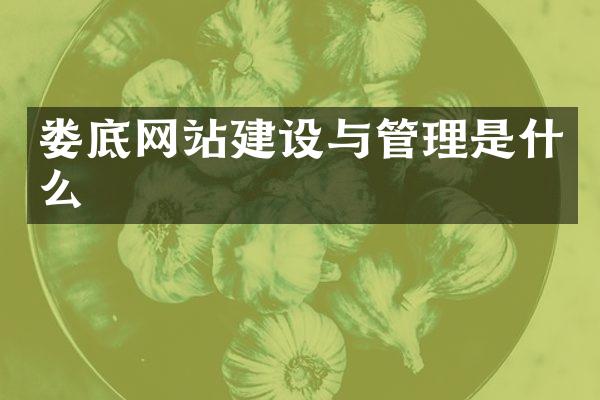 娄底网站建设与管理是什么