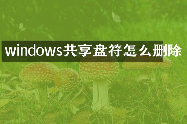 windows共享盘符怎么删除