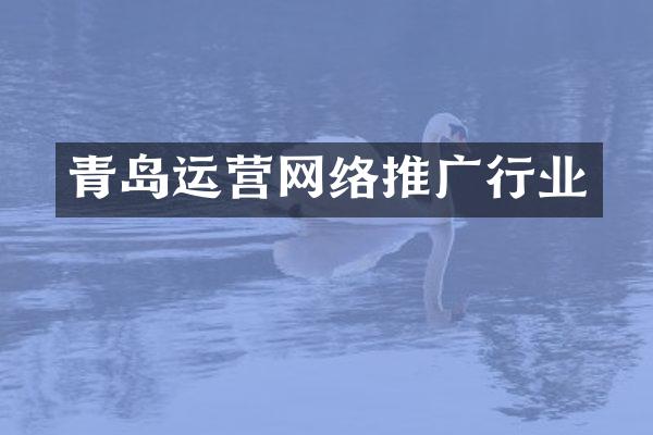 青岛运营网络推广行业