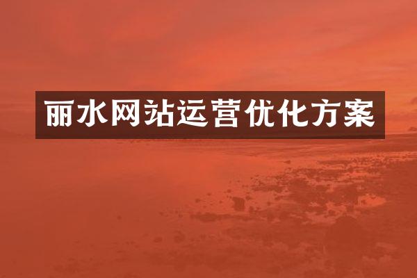丽水网站运营优化方案