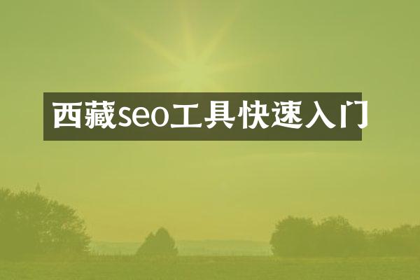 西藏seo工具快速入门