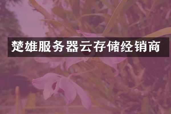 楚雄服务器云存储经销商