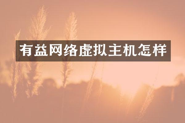 有益网络虚拟主机怎样