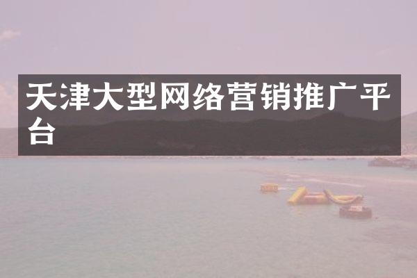 天津大型网络营销推广平台