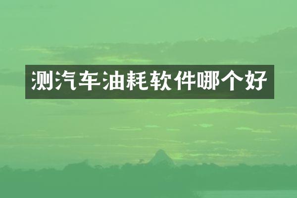 测汽车油耗软件哪个好