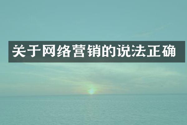 关于网络营销的说法正确
