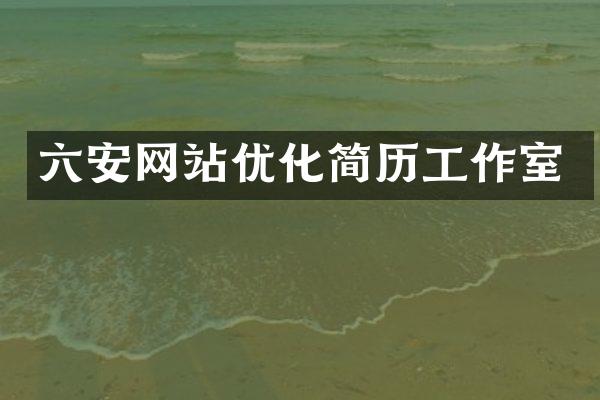 六安网站优化简历工作室