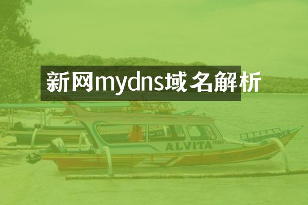 新网mydns域名解析