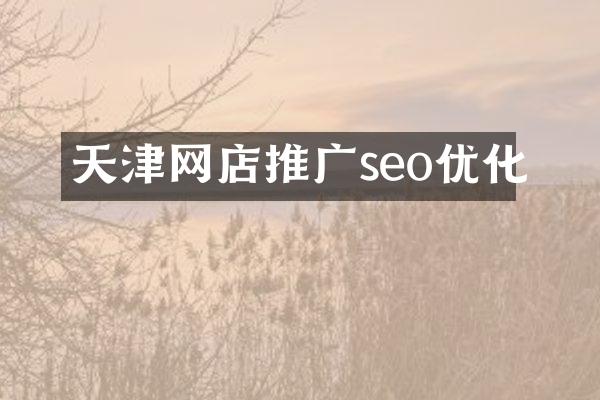天津网店推广seo优化