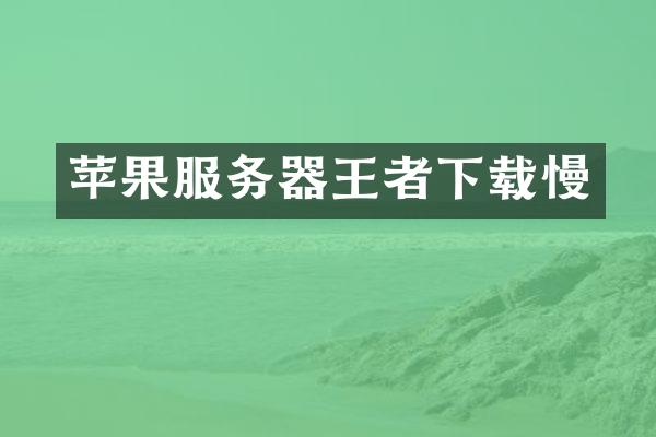 苹果服务器王者下载慢