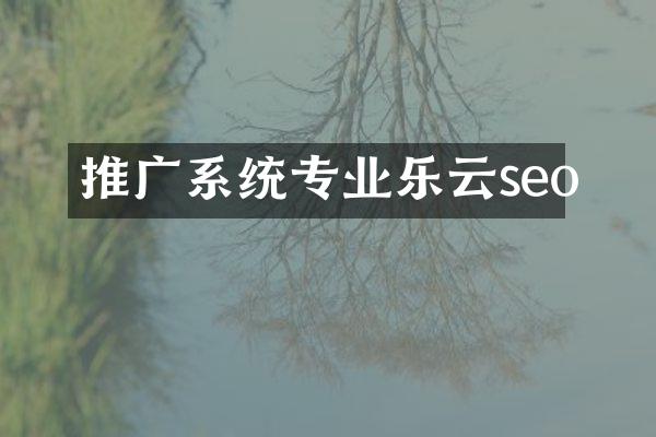 推广系统专业乐云seo