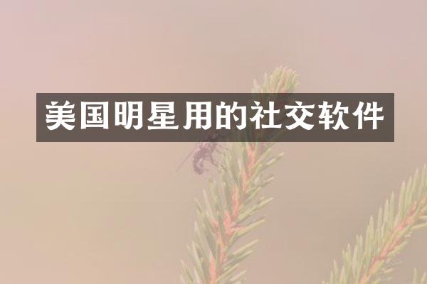 美国明星用的社交软件