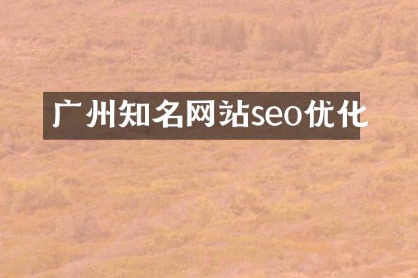 广州知名网站seo优化