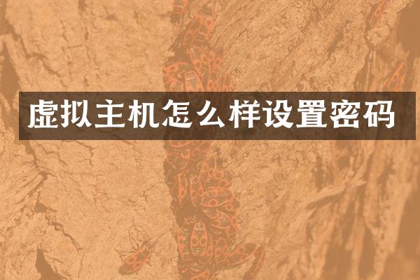 虚拟主机怎么样设置密码