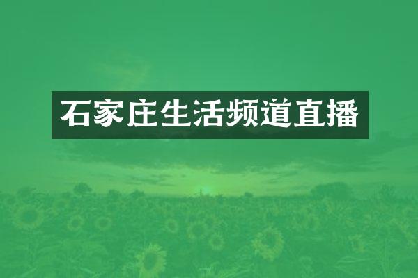 石家庄生活频道直播
