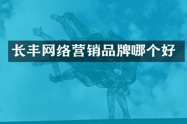 长丰网络营销品牌哪个好