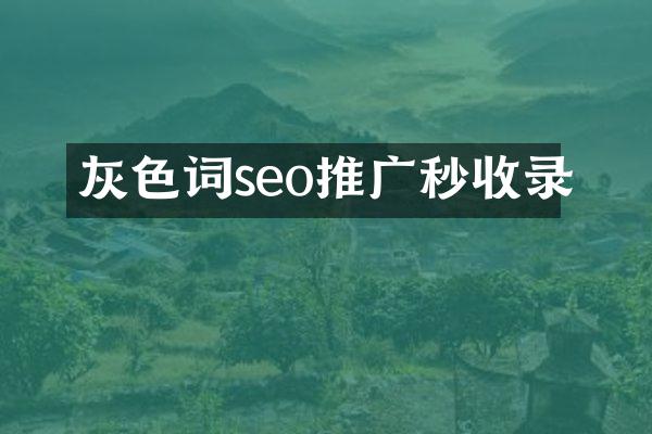 灰色词seo推广秒收录