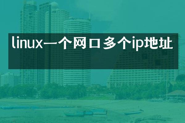 linux一个网口多个ip地址吗