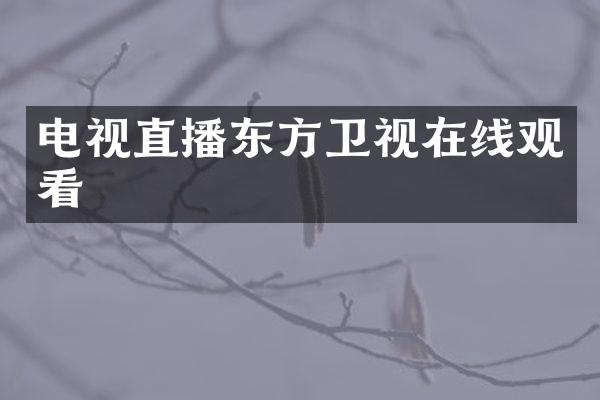 电视直播东方卫视在线观看