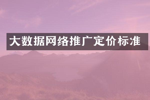 大数据网络推广定价标准