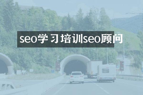 seo学习培训seo顾问