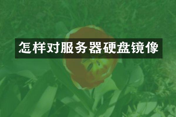 怎样对服务器硬盘镜像