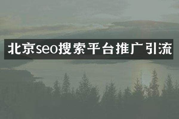 北京seo搜索平台推广引流