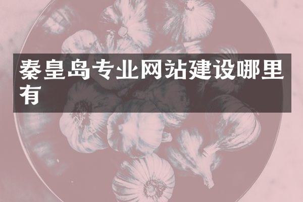 秦皇岛专业网站建设哪里有