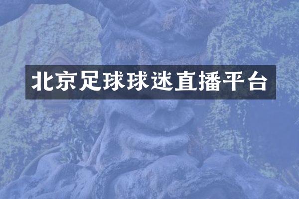 北京足球球迷直播平台