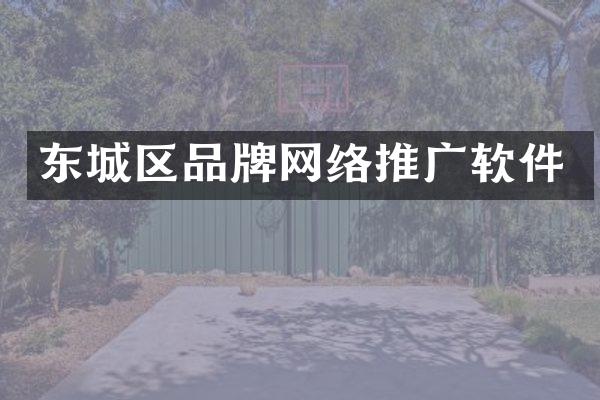 东城区品牌网络推广软件