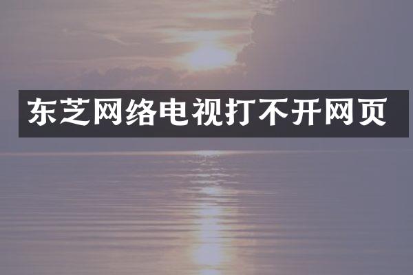 东芝网络电视打不开网页