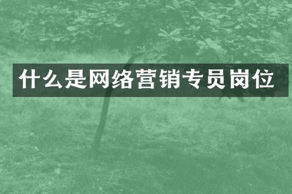 什么是网络营销专员岗位