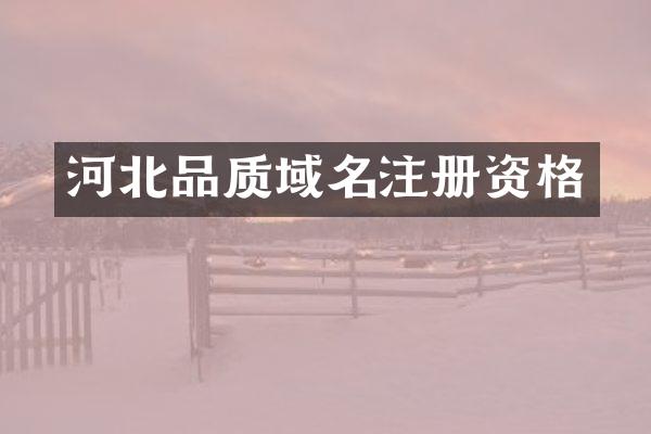河北品质域名注册资格