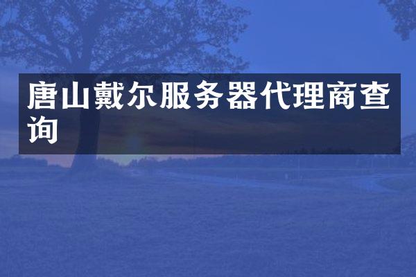 唐山戴尔服务器代理商查询